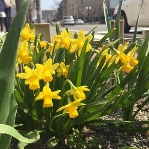 20150414.jpg