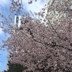 20160428.jpg