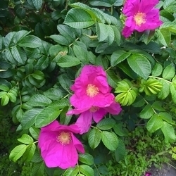 20160624.jpg