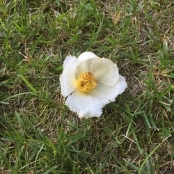 20160711.jpg