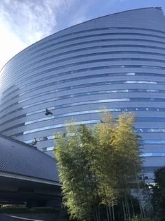 20191117-2.jpg