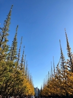 20191129.jpg