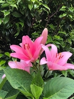 20200602-4.jpg