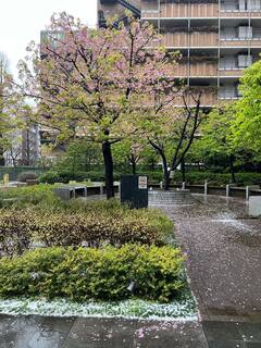 20250319-1.jpg