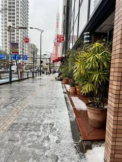 20250319-2.jpg