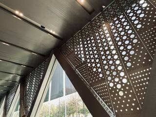 20250325-3.jpg