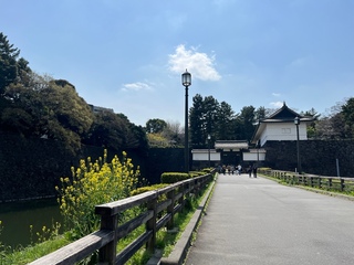 20250330a-4.jpg