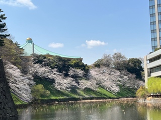 20250330a-5.jpg