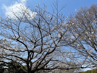 20250330a-7.jpg