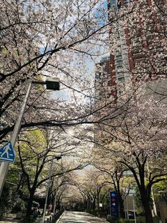 20250409-4.jpg