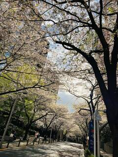 20250409-5.jpg