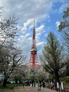 20250409-6.jpg