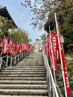 20250418-3.jpg