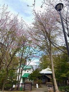 20250427yasuisann-1.jpg