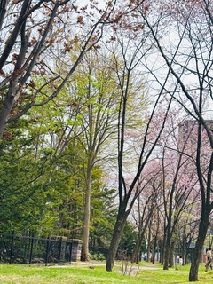 20250427yasuisann-2.jpg