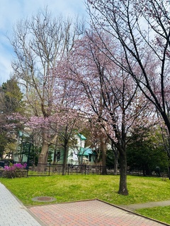20250427yasuisann-3.jpg