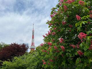 20250504a-8.jpg
